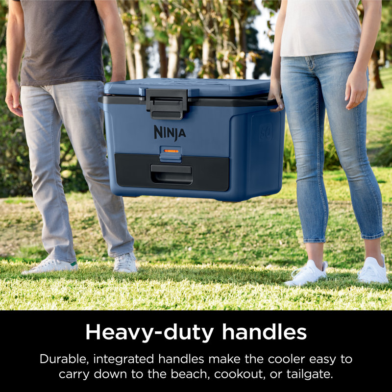 Ninja Frostvault 50qt Hard Cooler With Dry Zone & Reviews | Wayfair